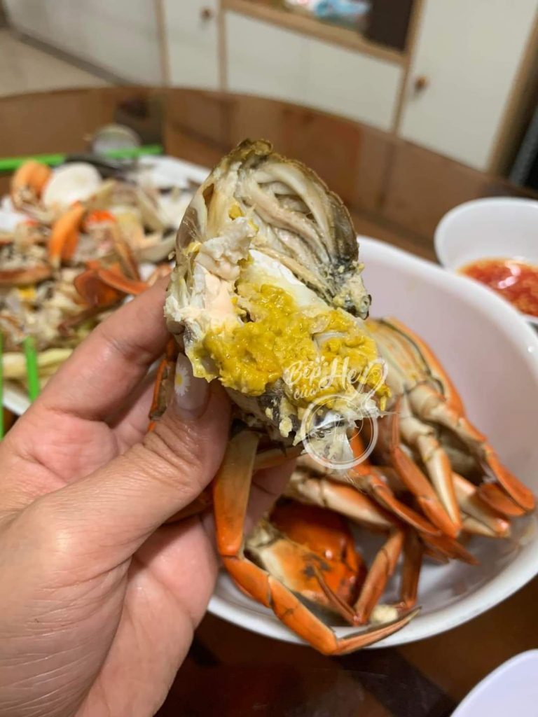 Cua yếm vuông 10 Cua yếm vuông luộc chín cắt đôi