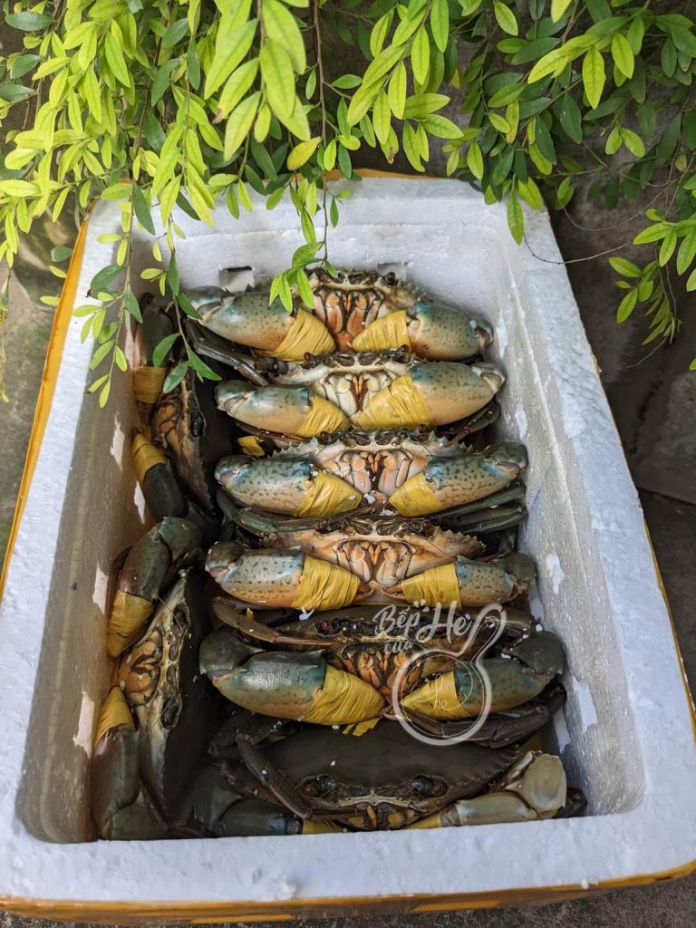 Cua yếm vuông 9 Đóng gói cua yêm vuông gửi hàng cho khách