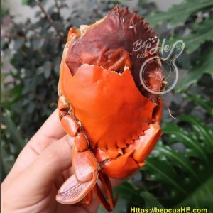 Bếp của He 4 Cua cốm cà màu là loại cua 2 da