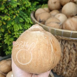 Dừa tươi Bến Tre